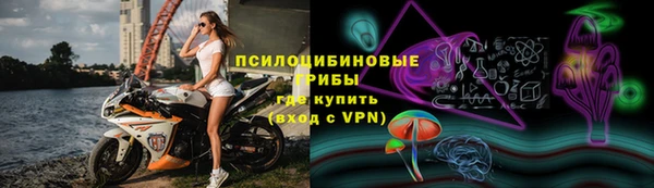 бошки Аркадак