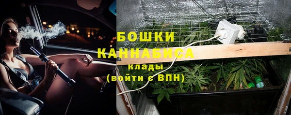 бошки Аркадак