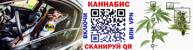 Каннабис план  что такое   Саянск 
